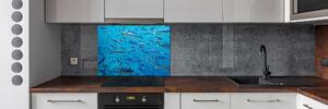 Panel do kuchyně Korálové ryby pksh-39421860