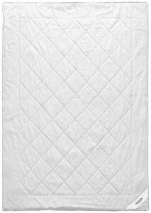LETNÍ PŘIKRÝVKA, 200/200 cm, hedvábí Sleeptex - Přikrývky, Online Only