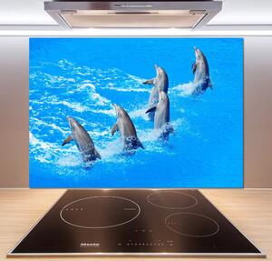 Skleněný panel do kuchyně Delfíny pksh-39687572