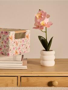 Sinsay - Dekorativní rostlina v květináči – orchidej - pastelová růžová
