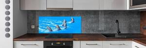 Skleněný panel do kuchyně Delfíny pksh-39687572