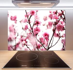 Dekorační panel sklo Květ švestky pksh-39695917