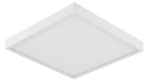 EVN Planus LED panel 27,2x27,2cm 24 W 4 000 K