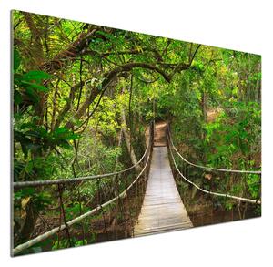 Dekorační panel sklo Lanový most pksh-40487494