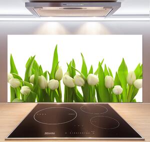 Panel do kuchyně Bílé tulipány pksh-40774643