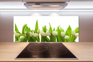 Panel do kuchyně Bílé tulipány pksh-40774643