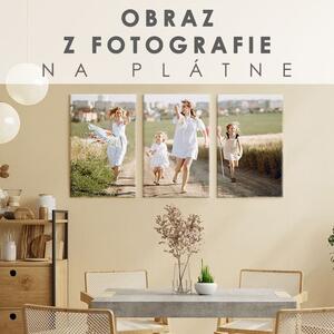 Obraz z fotografie - 3 ČÁSTI - 60x40 cm