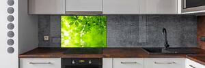 Panel do kuchyně Zelené listí pksh-41296480