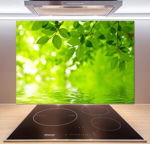 Panel do kuchyně Zelené listí pksh-41296480
