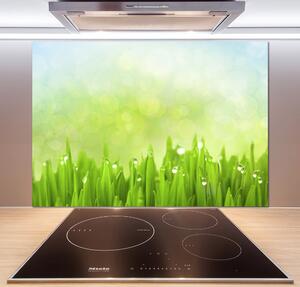 Skleněný panel do kuchyně Tráva pksh-42253578