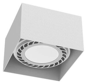 Brosline 1268 - Bodové svítidlo CAGE 1xGU10/18W/230V bílá