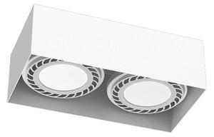 Brosline 1270 - Bodové svítidlo CAGE 2xGU10/18W/230V bílá