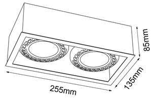 Brosline 1273 - Bodové svítidlo CAGE 2xGU10/18W/230V černá