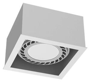 Brosline 1272 - Bodové svítidlo CAGE 1xGU10/18W/230V bílá