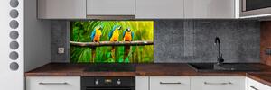 Panel do kuchyně Papoušci na větvi pksh-42532067