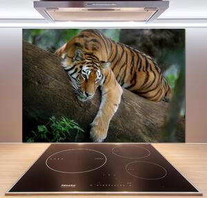 Panel do kuchyně Tygr na stromě pksh-4289086