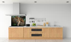 Panel do kuchyně Tygr na stromě pksh-4289086