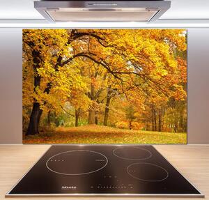 Panel do kuchyně Podzim v parku pksh-43414176