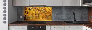Panel do kuchyně Podzim v parku pksh-43414176