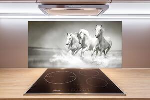 Dekorační panel sklo Bílí koně pksh-44040199