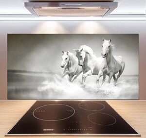 Dekorační panel sklo Bílí koně pksh-44040199