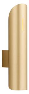 Argon 7177 - Nástěnné svítidlo AKRON PLUS 2xG9/6W/230V zlatá