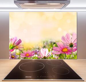 Skleněný panel do kuchyně Máky pksh-44427234