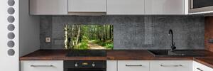Panel do kuchyně Stezka v lese pksh-4509873
