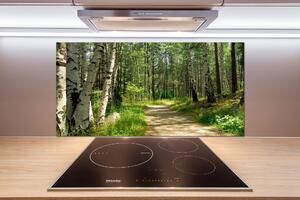 Panel do kuchyně Stezka v lese pksh-4509873