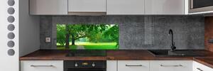 Panel do kuchyně Podzimní park pksh-45444718