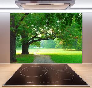 Panel do kuchyně Podzimní park pksh-45444718