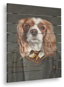 Obraz na dřevě zvířecí portrét Harry - 40x55 cm - uniforma 1