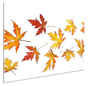 Panel do kuchyně Podzimní listí pksh-45893425