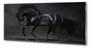 Dekorační panel sklo Černý kůň pksh-47712826