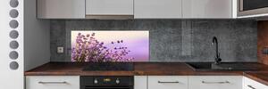 Skleněný panel do kuchyně Levandule pksh-48533046