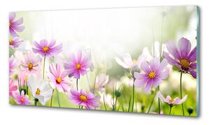 Panel do kuchyně Květiny na louce pksh-49015861