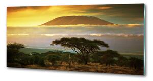 Panel do kuchyně Kilimanjaro Kenya pksh-49494611