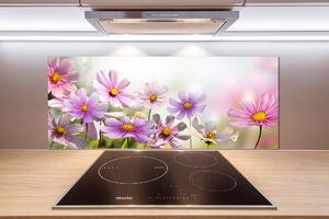 Panel do kuchyně Květiny na louce pksh-50039707