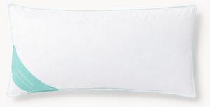 Polštář z peří a prachového peří Comfort, střední