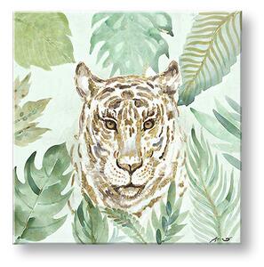 Obraz na plátně LEOPARD - 50x50 cm