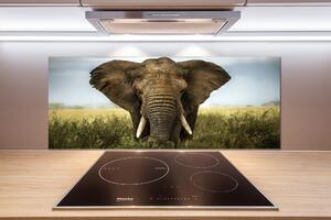 Panel do kuchyně Slon na savaně pksh-51170548