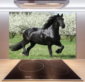 Panel do kuchyně Černý kůň květiny pksh-51258832