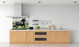 Panel do kuchyně Černý kůň květiny pksh-51258832