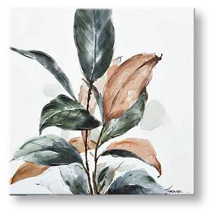 Obraz na plátně LISTY - 50x50 cm