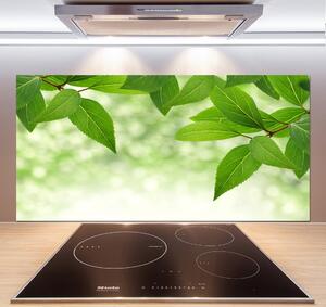 Panel do kuchyně Zelené listí pksh-51811576