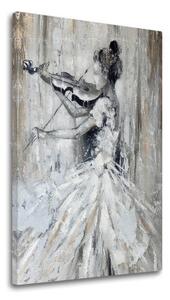 Obraz na plátně HUSLISTKA 1 díl - 40x60 cm
