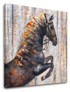 Obraz na plátně 1 díl kůň - 50x50 cm