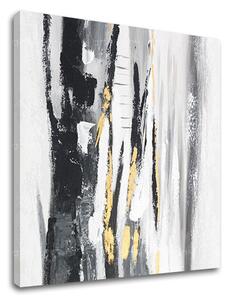Obraz na plátně ABSTRAKT 1 díl - 50x50 cm