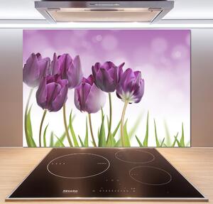 Panel do kuchyně Fialové tulipány pksh-52340543