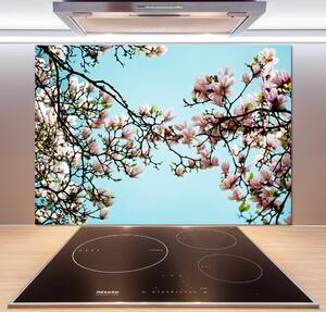 Panel do kuchyně Květiny magnolie pksh-52445180